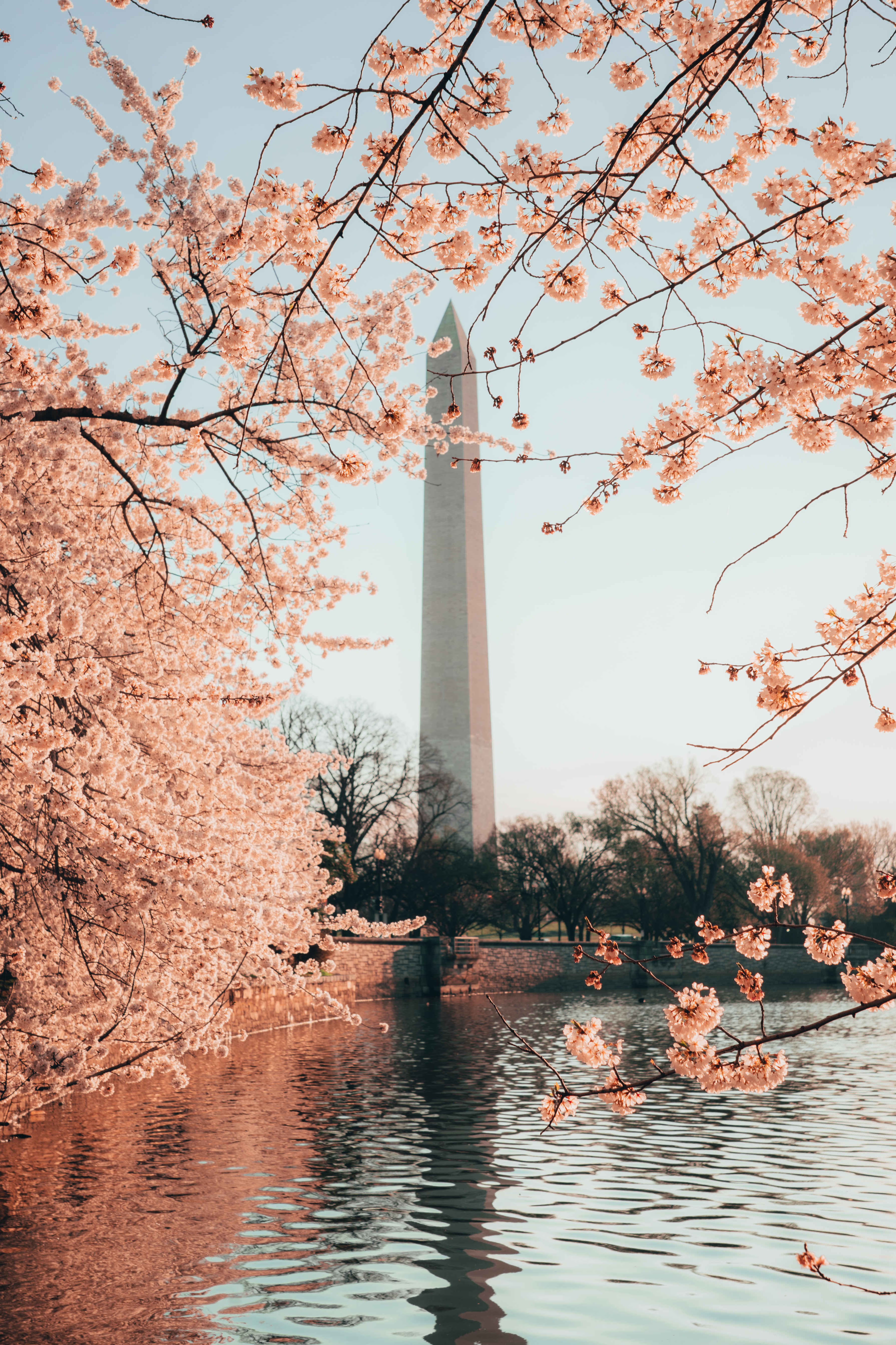 Washington Monument in DC